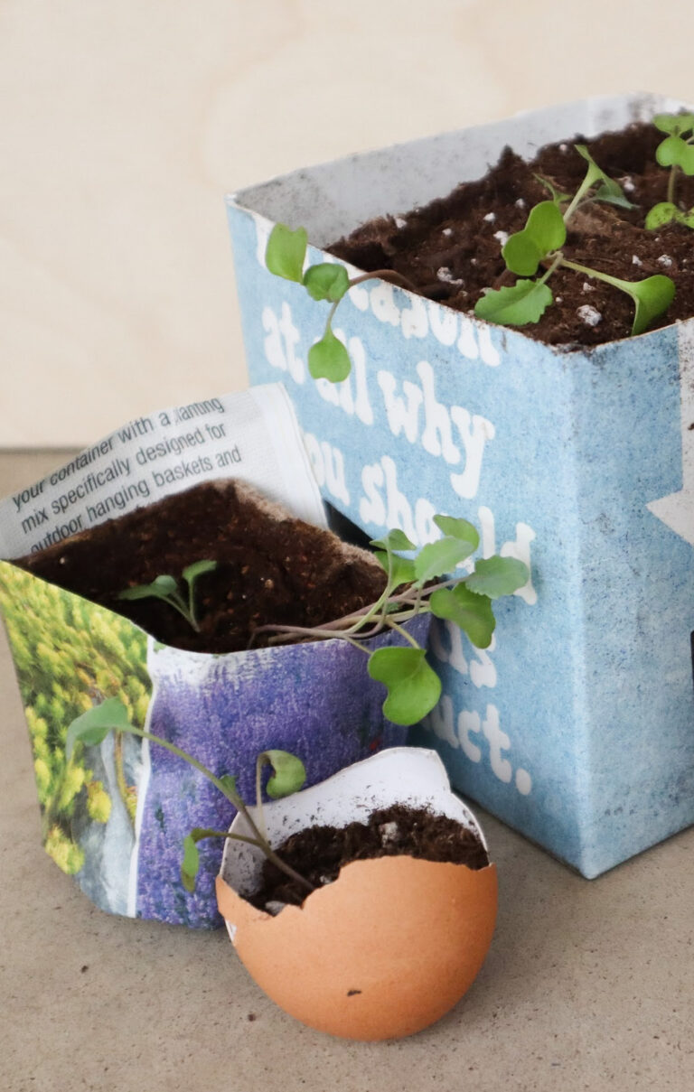 10 DIY Seedling Starter Pot Ideas