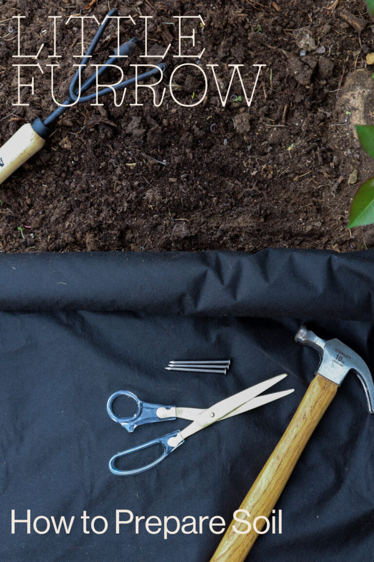 how to prepare soil