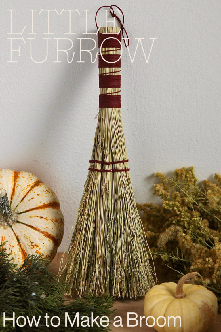 How to Make a Whisk Broom: For Beginners (With Video Instructions)