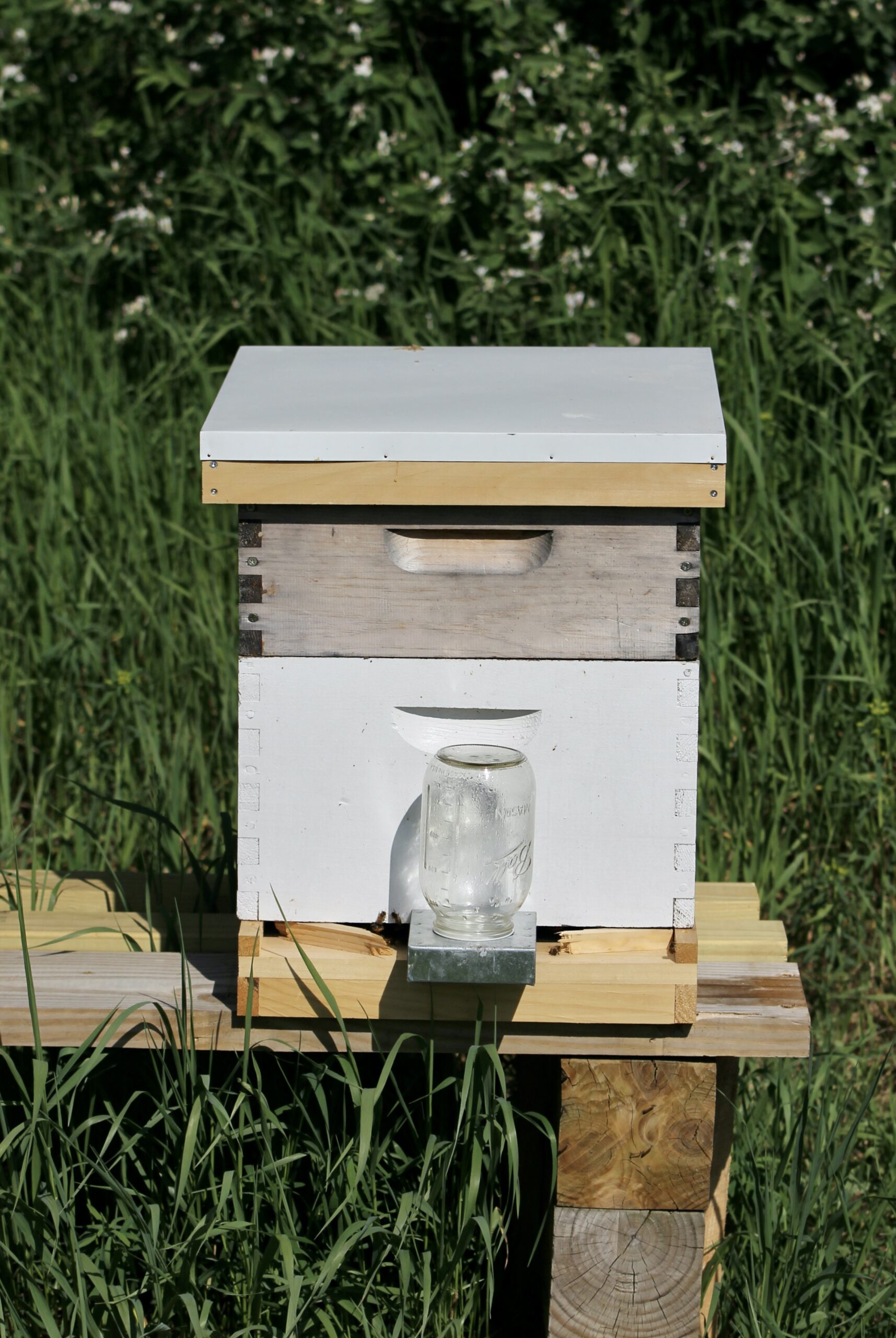 beekeeping hive in field on family farm