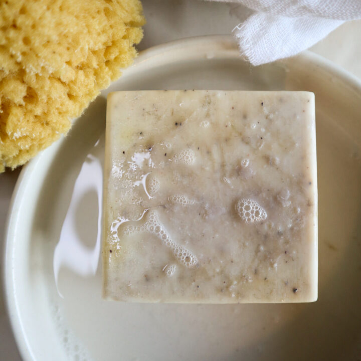 homemade soap with natural sponge sudsy